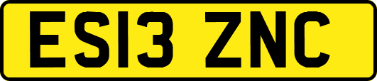 ES13ZNC