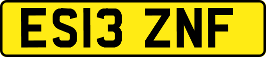 ES13ZNF