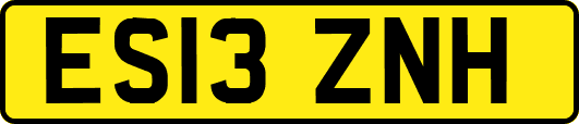 ES13ZNH