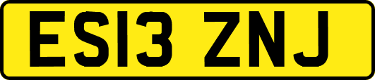 ES13ZNJ