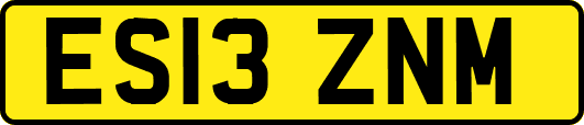 ES13ZNM