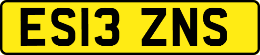 ES13ZNS