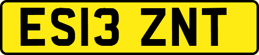 ES13ZNT