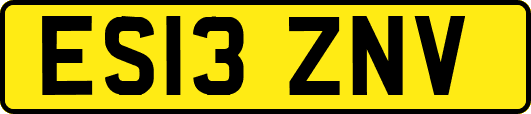 ES13ZNV