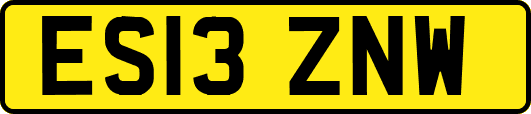 ES13ZNW