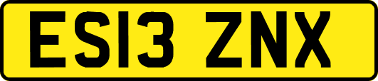 ES13ZNX