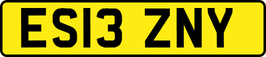 ES13ZNY