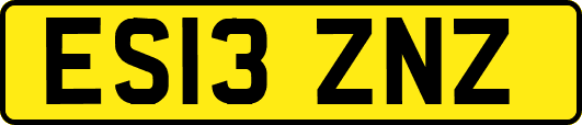ES13ZNZ