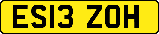 ES13ZOH