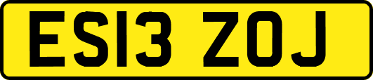 ES13ZOJ
