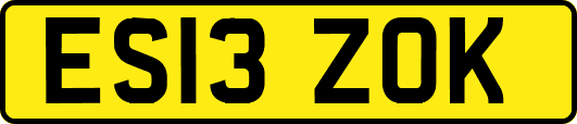 ES13ZOK