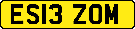 ES13ZOM