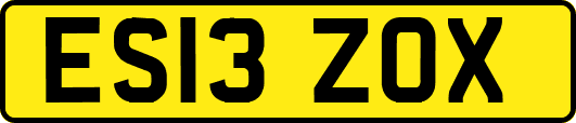 ES13ZOX