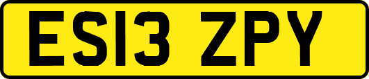 ES13ZPY
