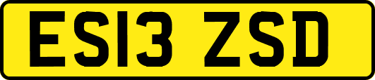 ES13ZSD