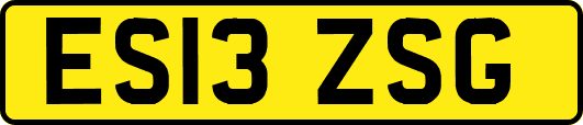 ES13ZSG