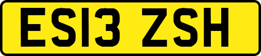 ES13ZSH