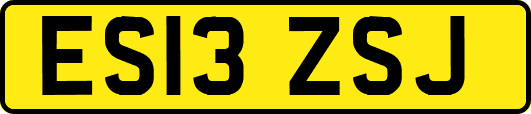 ES13ZSJ