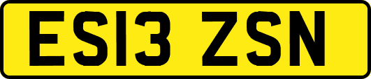 ES13ZSN