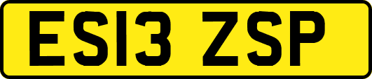 ES13ZSP