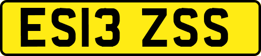 ES13ZSS