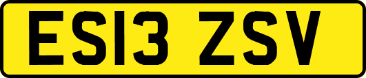 ES13ZSV