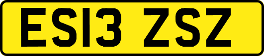 ES13ZSZ