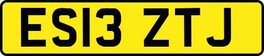 ES13ZTJ