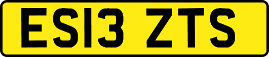 ES13ZTS