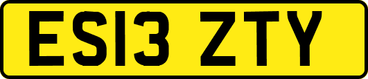 ES13ZTY