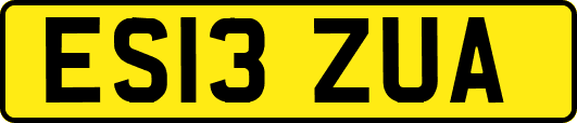 ES13ZUA