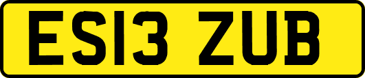 ES13ZUB