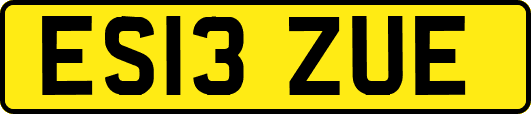 ES13ZUE