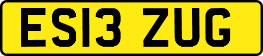 ES13ZUG