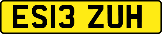 ES13ZUH
