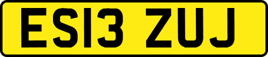 ES13ZUJ