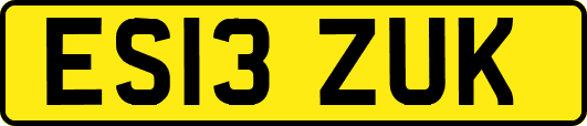 ES13ZUK