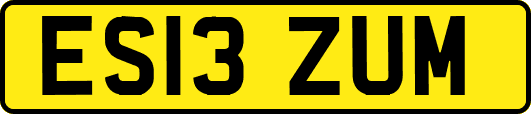 ES13ZUM