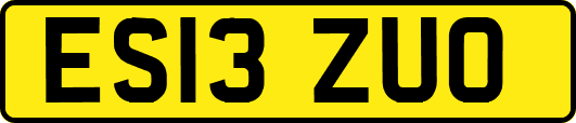 ES13ZUO