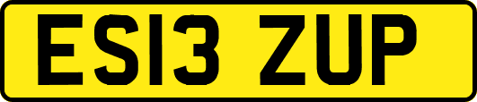 ES13ZUP