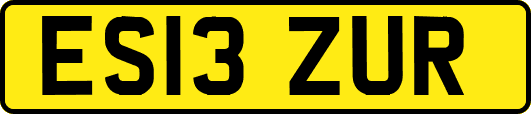 ES13ZUR