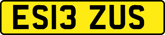ES13ZUS