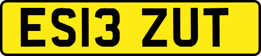 ES13ZUT
