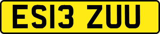 ES13ZUU