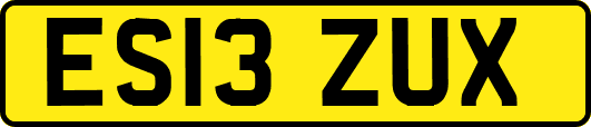 ES13ZUX