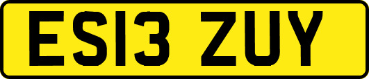 ES13ZUY