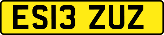 ES13ZUZ