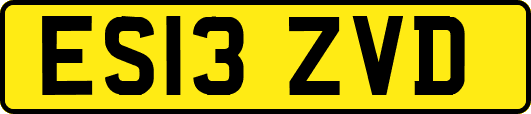 ES13ZVD