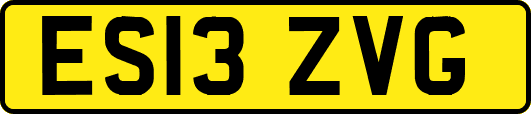 ES13ZVG