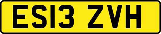 ES13ZVH